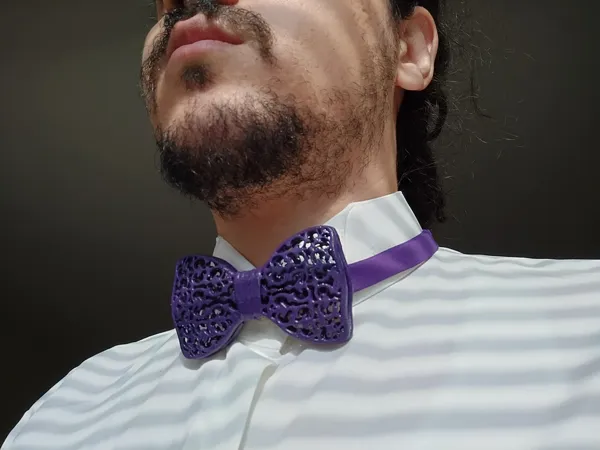 https://makerworld.bblmw.com/makerworld/model/DSM00000000393652/design/2024-03-25_c2354533b44e6.jpg