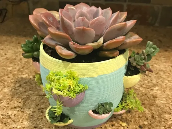 https://makerworld.bblmw.com/makerworld/model/DSM00000000394122/design/2024-03-25_ad72c3d3a2794.jpg
