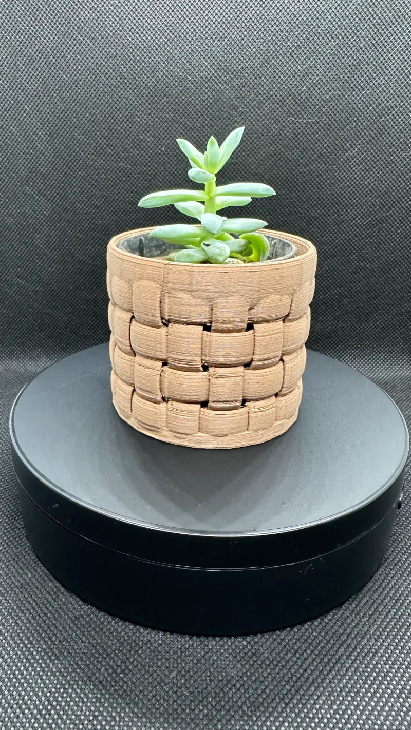 Summer Basket
