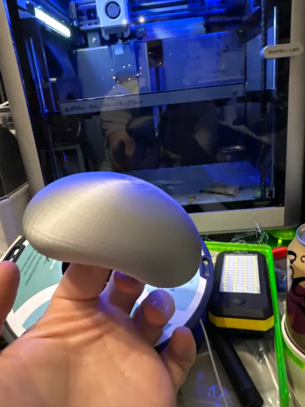 https://makerworld.bblmw.com/makerworld/model/DSM00000000394646/design/2024-03-25_3e045a6dcc8d48.jpeg