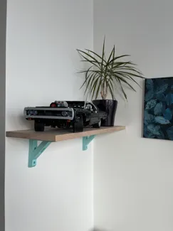 Design shelf mount