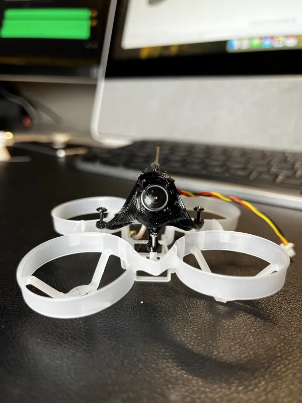Tinywhoop canopy - Caddx Ant
