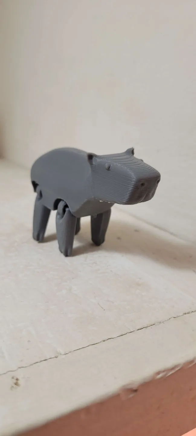 flexy capybara 