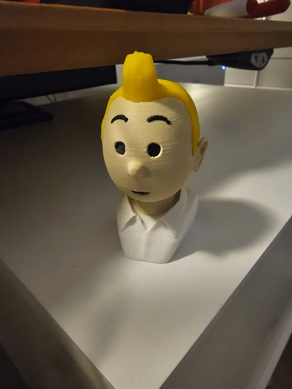 https://makerworld.bblmw.com/makerworld/model/DSM00000000396245/design/2024-03-26_83a70f75cad4f8.jpg