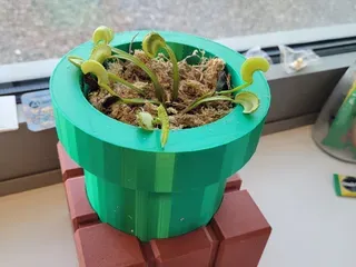 https://makerworld.bblmw.com/makerworld/model/DSM00000000397094/design/2024-03-26_0862f4d31d1e9.webp