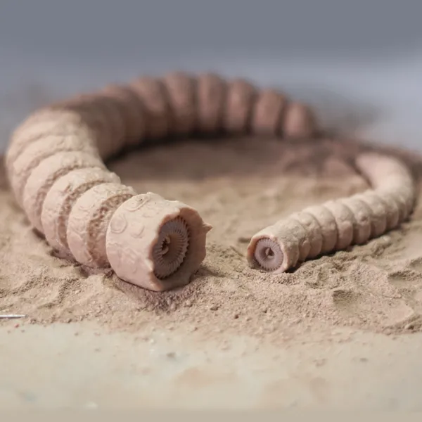 https://makerworld.bblmw.com/makerworld/model/DSM00000000397122/design/2024-03-27_def0bl3tpafz.png