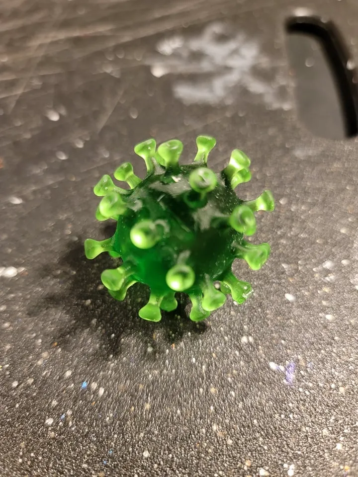 Corona Virus