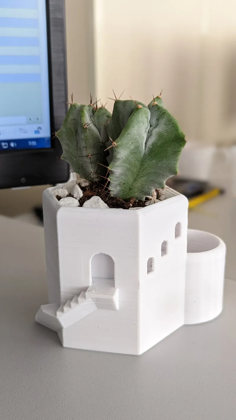 Plant Pot