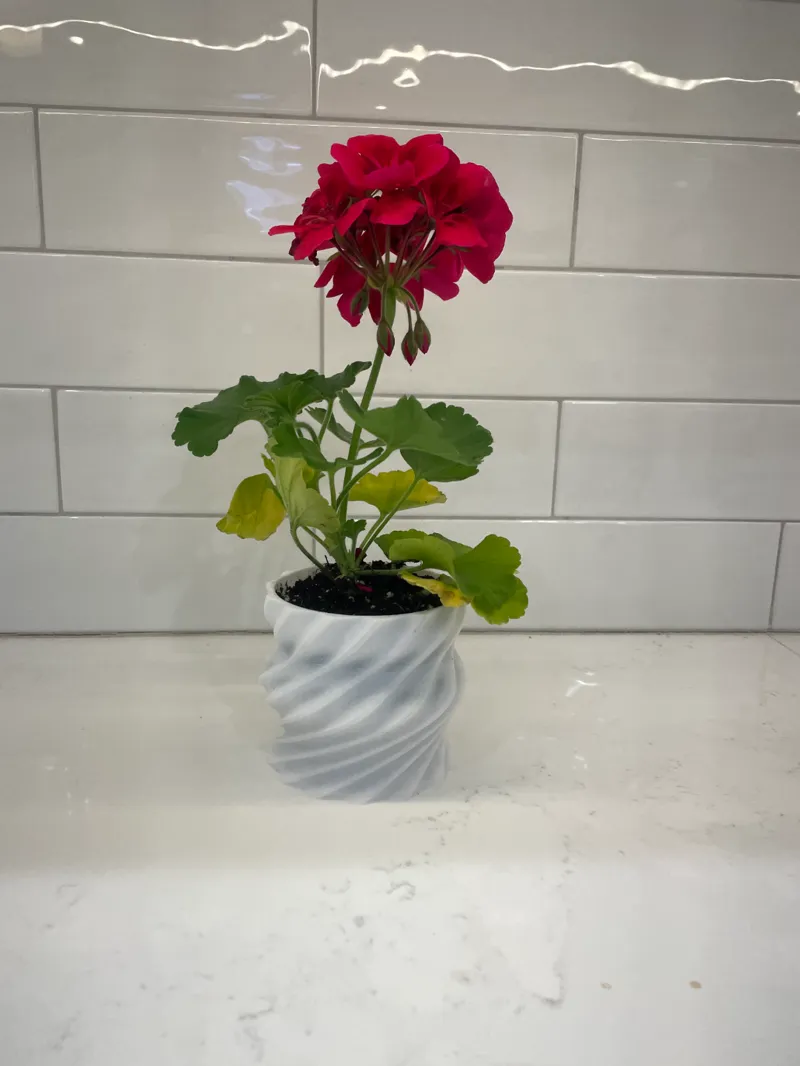 Twisted Plant Pot v2