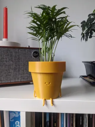 https://makerworld.bblmw.com/makerworld/model/DSM00000000397968/design/2024-03-27_a3bfa04a0f3c8.webp