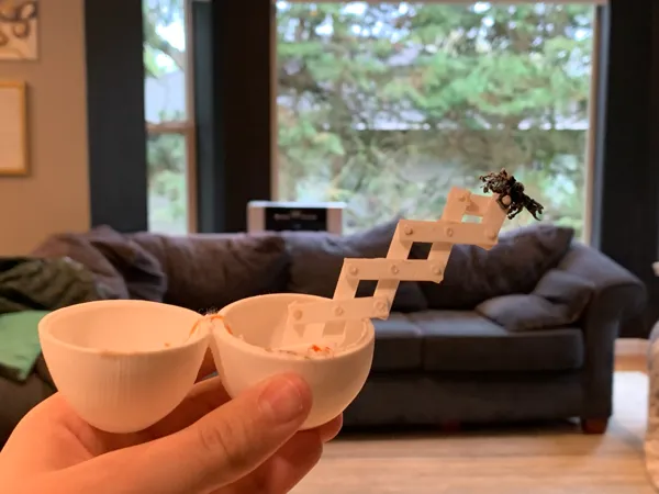 https://makerworld.bblmw.com/makerworld/model/DSM00000000399088/design/2024-03-27_f943289ab1c86.jpg