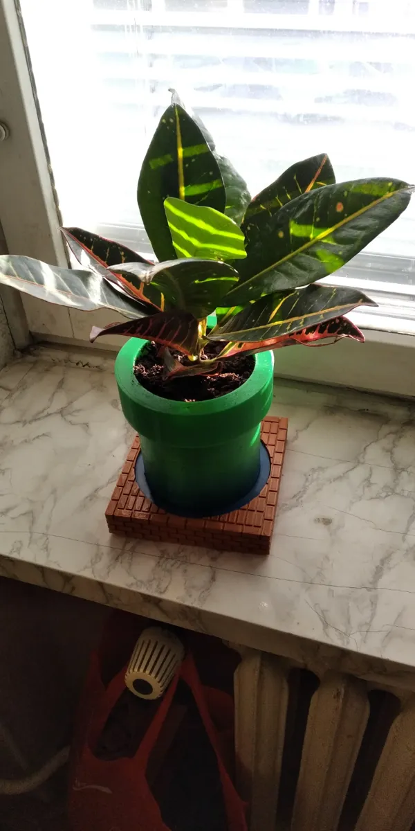 https://makerworld.bblmw.com/makerworld/model/DSM00000000399172/design/2024-03-28_4cbd1fbd014bb.webp