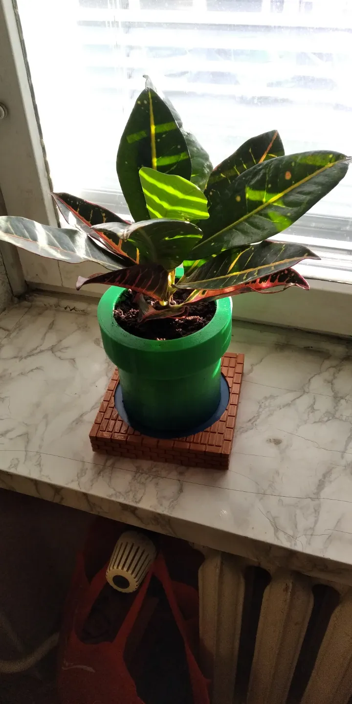 Super Mario Tube Planter