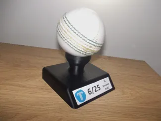 Cricket Ball Stand (with plaque)