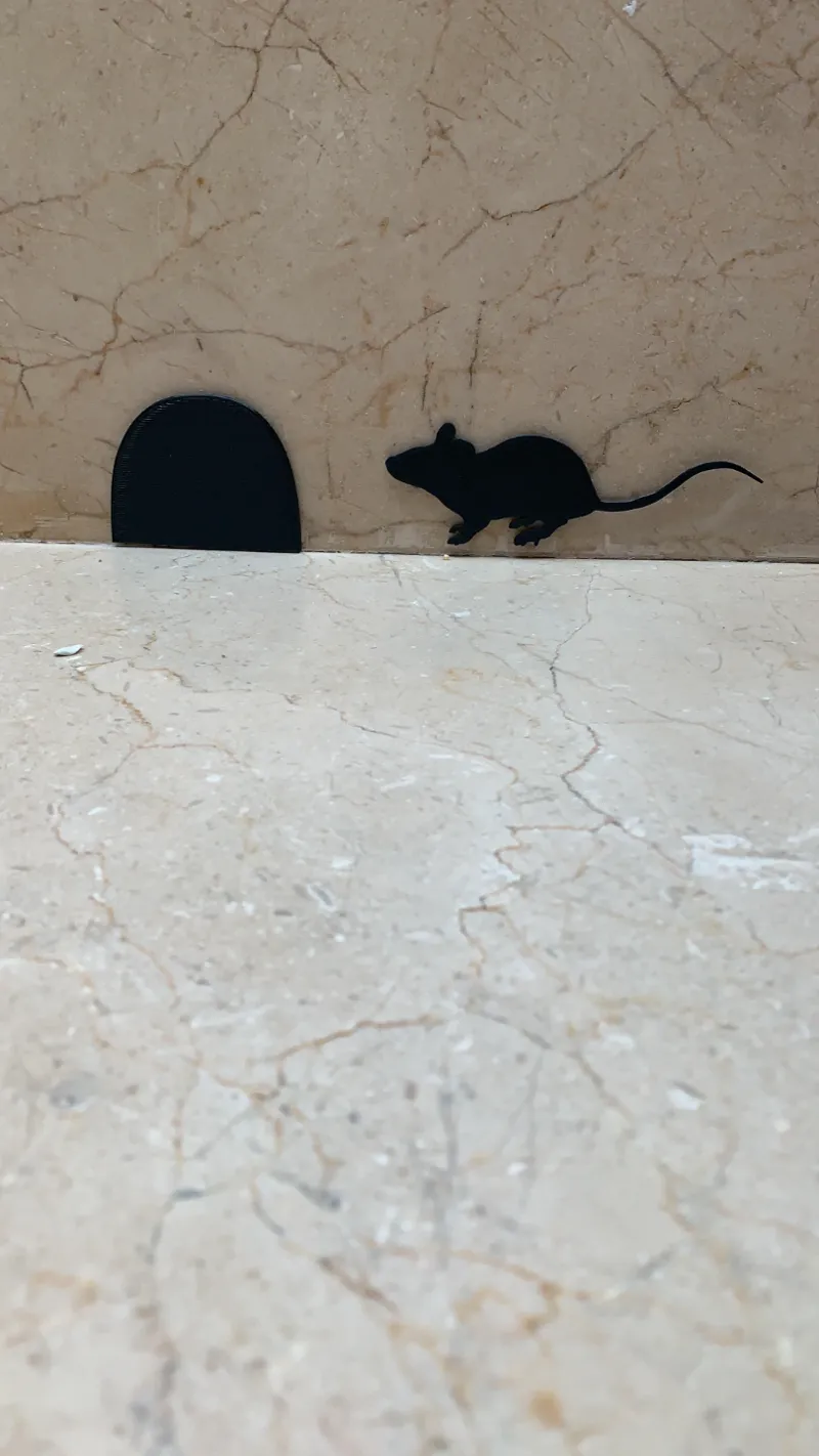 Rat & Rat hole.