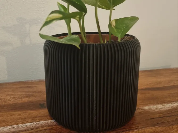 Paramteric Plant Pot/Vase