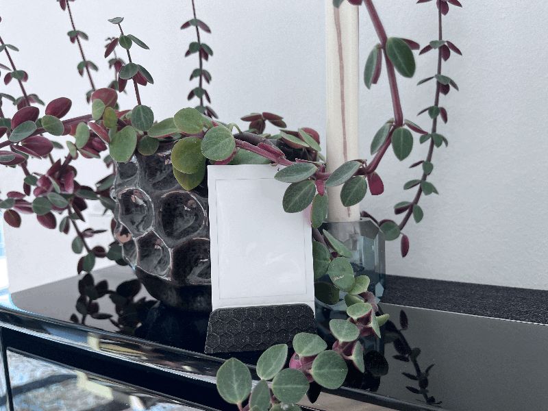 Photo Stand/Holder hex