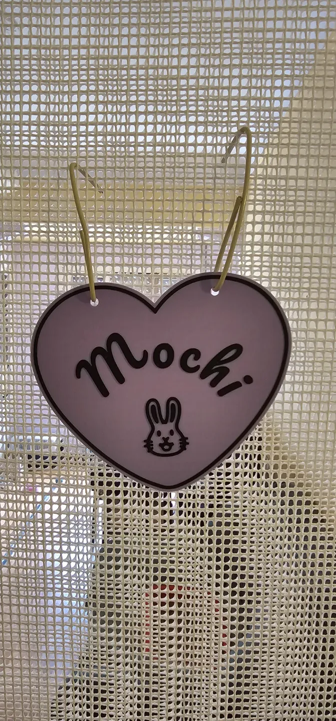 Pet bunny door sign