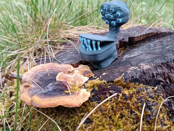 https://makerworld.bblmw.com/makerworld/model/DSM00000000400756/design/2024-10-09_bb6db3cb94816.jpg