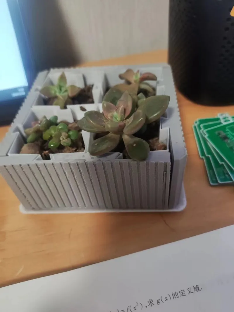 Disassembling modular flower pots多肉植物模块化花盆