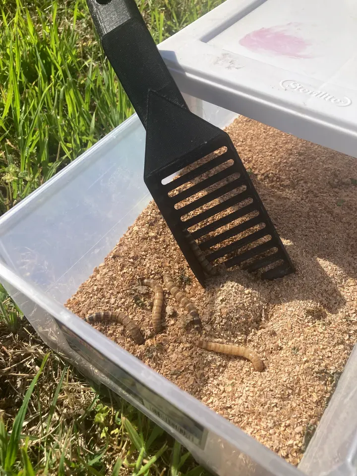Worm sifter (mealworms and Superworms)