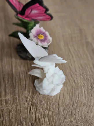 Schmetterlin auf Blume