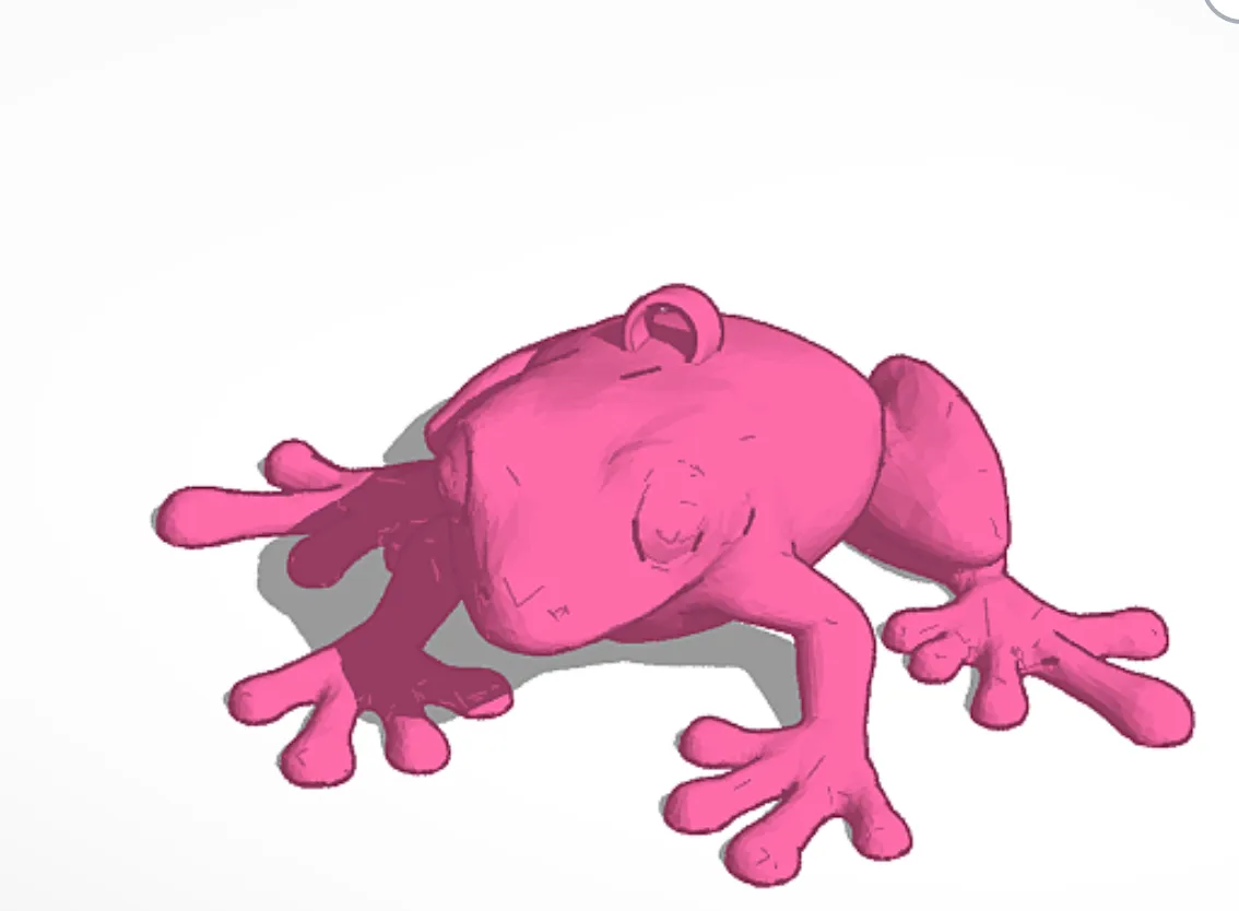 Porte-clés grenouille
