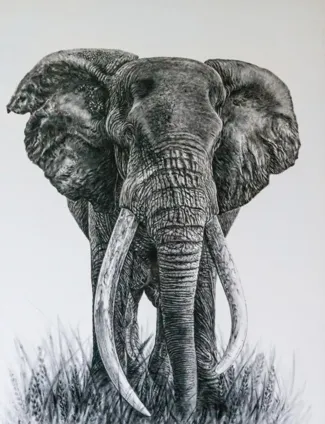 Elephant HueForge