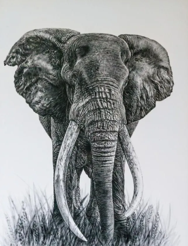 Elephant HueForge