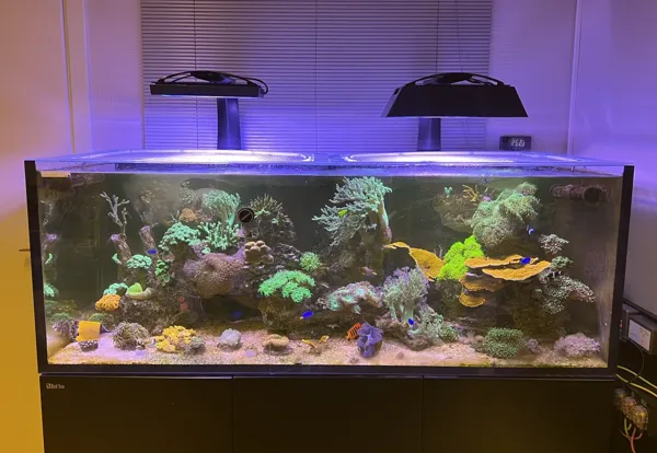 https://makerworld.bblmw.com/makerworld/model/DSM00000000402184/design/2024-03-29_28bf15ca073a2.jpeg