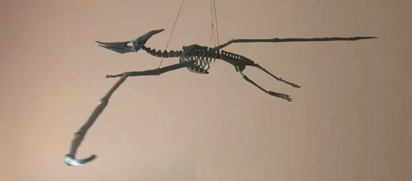 https://makerworld.bblmw.com/makerworld/model/DSM00000000402706/design/2024-03-29_2c8ba9fa934218.jpg