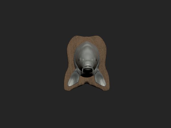 https://makerworld.bblmw.com/makerworld/model/DSM00000000402798/design/2024-03-30_cbf47964d5e46.gif