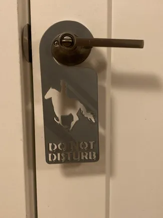 Horse rider Do Not disturb door hook
