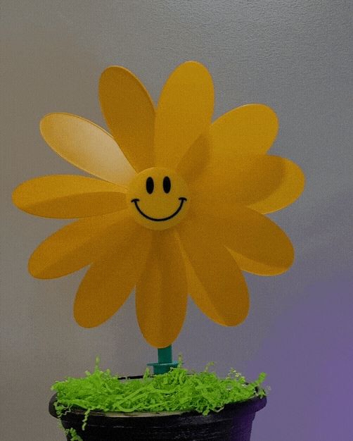 https://makerworld.bblmw.com/makerworld/model/DSM00000000403179/design/2024-03-30_91e7192ecd25e.gif