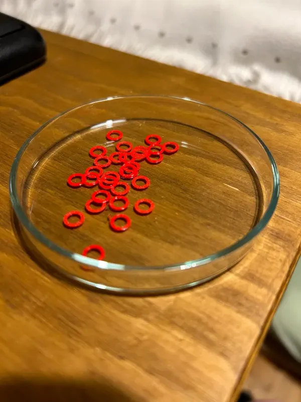 https://makerworld.bblmw.com/makerworld/model/DSM00000000403609/design/2024-03-30_e66b1fba43bc4.png