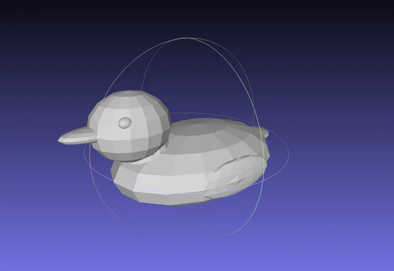 Duck