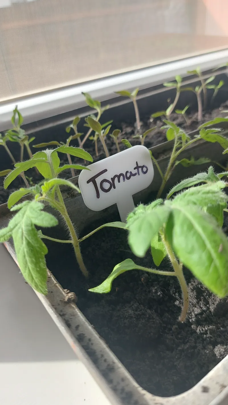 Plant sign label