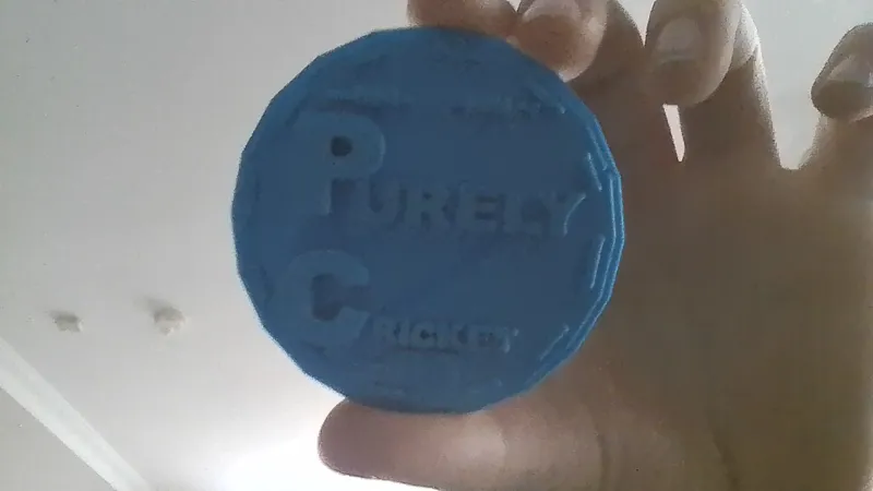 purely cricket logo