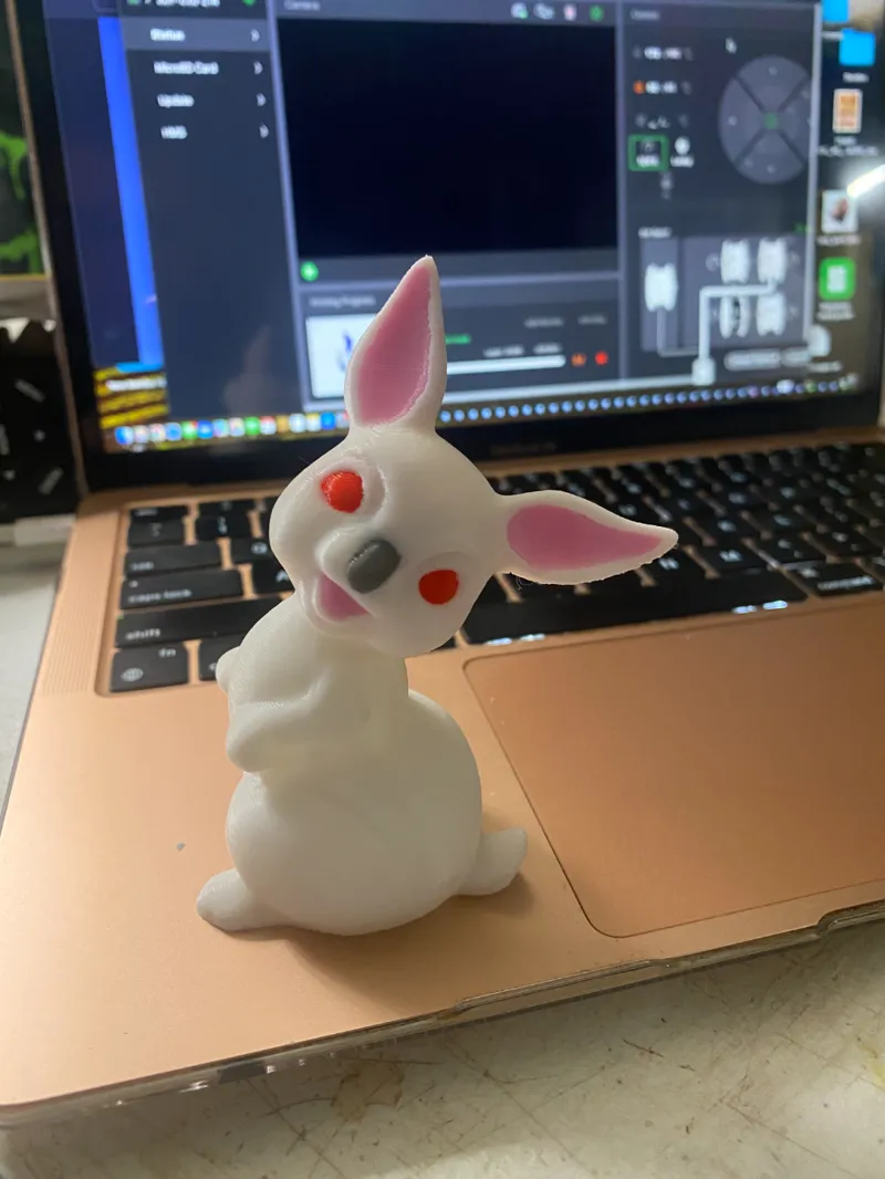 Cute Rabbit