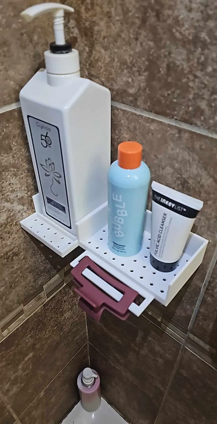 Shower organizer