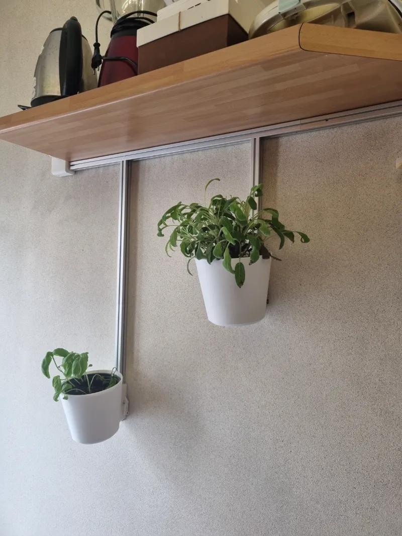 Wall vases
