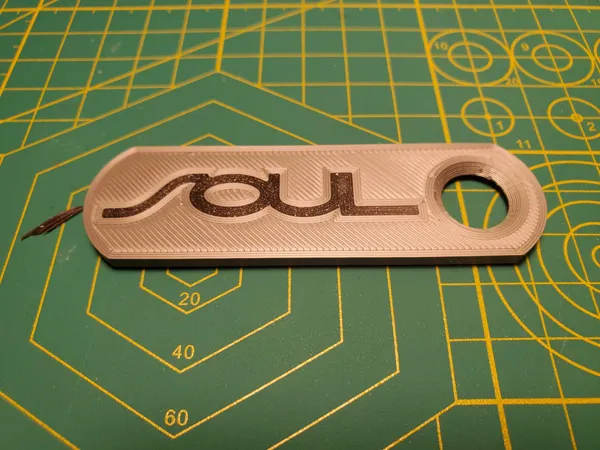 https://makerworld.bblmw.com/makerworld/model/DSM00000000409981/design/2024-04-02_c8be72d1d85ab.jpg