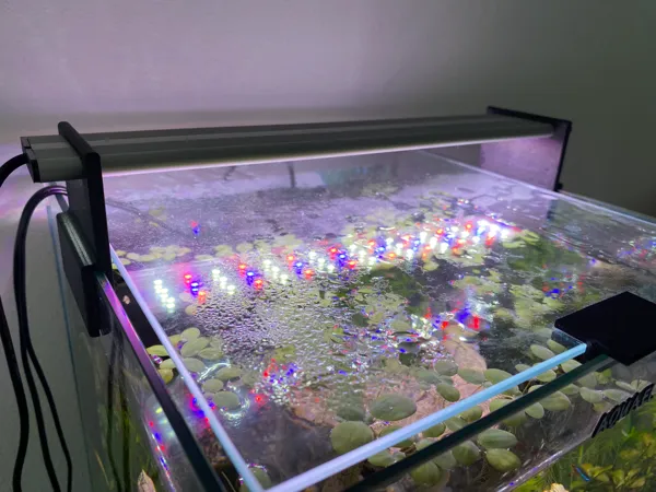 https://makerworld.bblmw.com/makerworld/model/DSM00000000410802/design/2024-04-03_19da0de897158.jpg