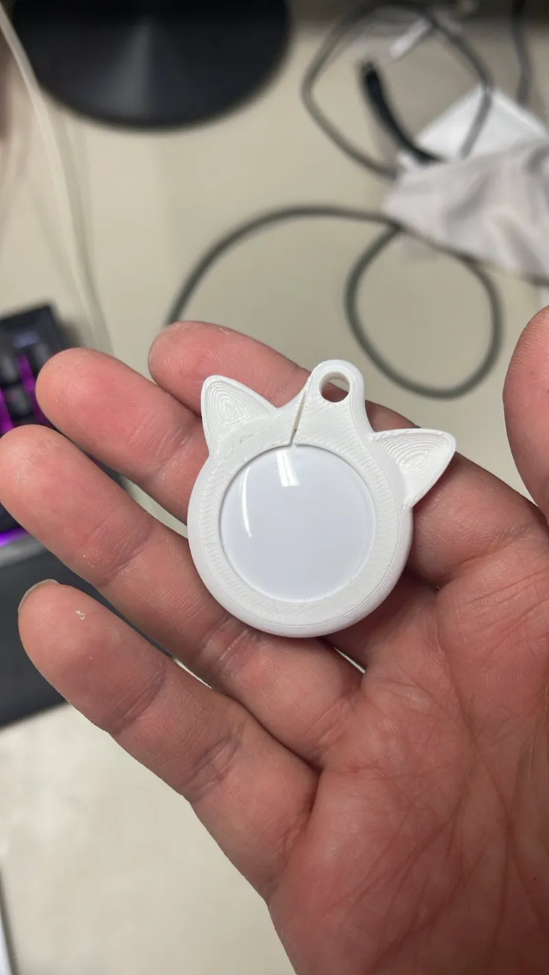 APPLE Airtag Cat Case