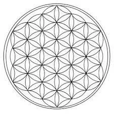 cubo test 1 