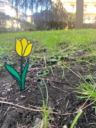 Modular Tulip