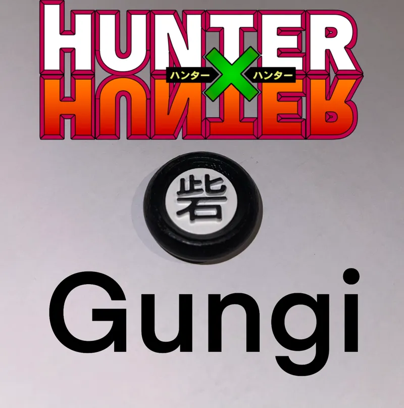 Hunter x Hunter Gungi Stones