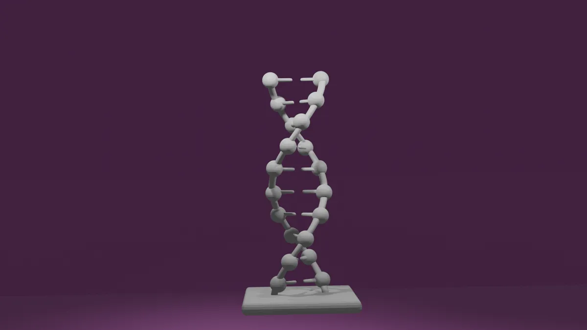 Modèle d'ADN
