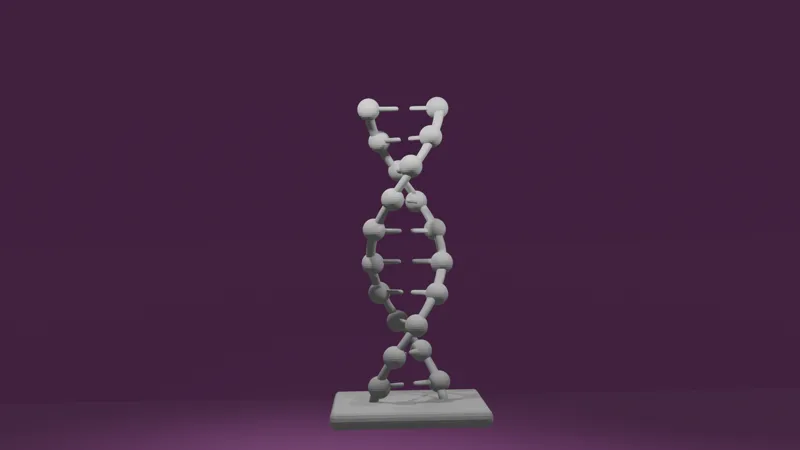 DNA model