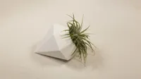 Pot à plante aérienne diamant 8 côtés — photo 1